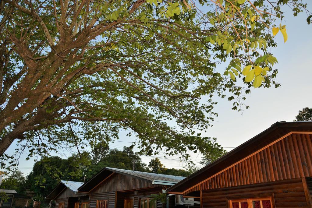 Casitas Nuova Villa ปูแอร์โตอีกวาซู ภายนอก รูปภาพ